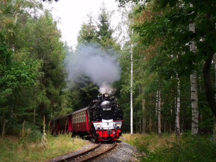 99&nbsp;6001 mit Zug&nbsp;8965 Richtung Hasselfelde, direkt vor dem Haltepunkt Sternhaus-Haferfeld, um 14:15h am 08.09.2019