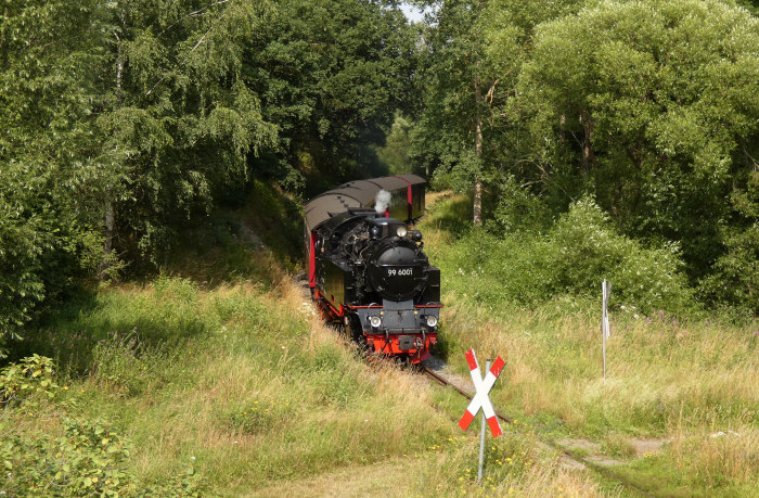 99&nbsp;6001 mit Zug&nbsp;8967 nach Hasselfelde, am (bekannten) Feld-Waldweg-Bahnübergang Richtung Kuxtal vor Straßberg, um 15:22h am 24.07.2021