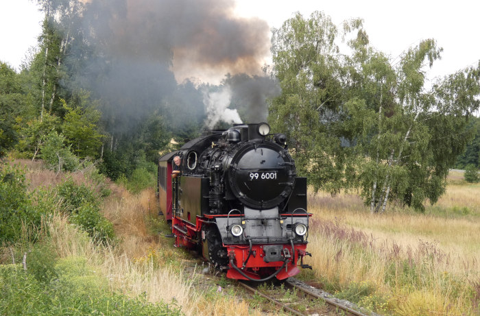 99&nbsp;6001 mit 8967 (&rarr;Hasselfelde) hinter Sternhaus-Haferfeld, um 14:36h am 25.07.2021