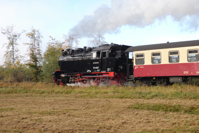 99&nbsp;6001&nbsp; mit 8963 Richtung Alexisbad hinter dem Haltepunkt Sternhaus-Haferfeld, um 11:09h am 25.10.2023