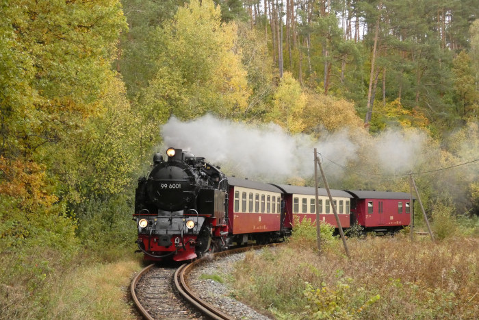 99&nbsp;6001&nbsp; mit 8967 Richtung Eisfelder Talmühle, hinter Straßberg in den Kurven an der &bdquo;alten Fluor&ldquo;, um 16:15h am 25.10.2023