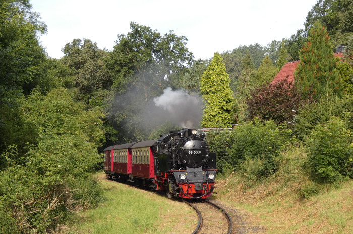 99&nbsp;6001 mit dem morgendlichen Zug 8961 aus Gernrode zwischen den hübschen Vorgärten vor der Einfahrt von Harzgerode, um 8:36h am 07.07.2024