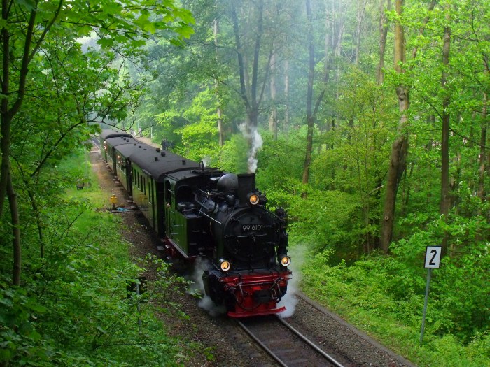 99&nbsp;6101 mit dem aus Traditionswagen gebildeten Sonderzug von Wernigerode zum Brocken, fotografiert und synchron akustisch aufgenommen an der Ausfahrt von Steinerne Renne, um 10:17h, am 17.05.2014