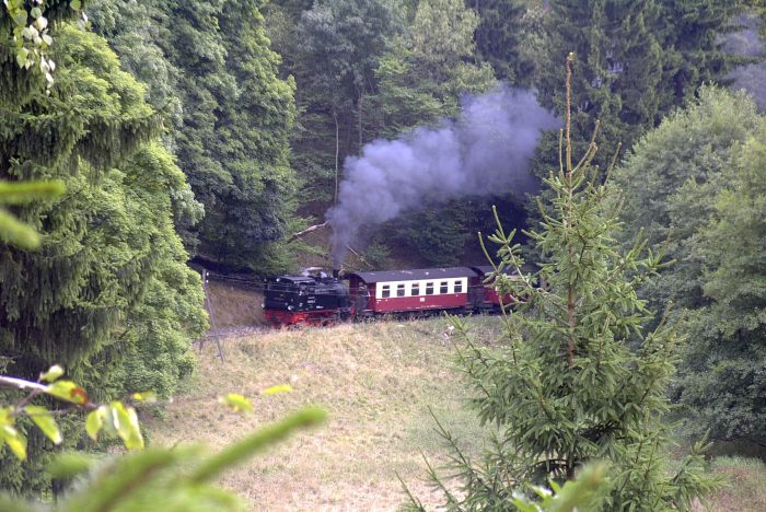 99&nbsp;6102&nbsp;Tv mit 8954 am unteren Ramberg unterhalb am Berg mit der Heinrichsburgruine, am 06.09.2003