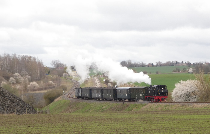 Lok&nbsp;11&nbsp; mit Infozug von Benndorf nach Hettstedt-Kupferkammerhütte in der kurzen Steigung nördlich der Niewandtschachthalde, um 12:31h am 01.04.2023