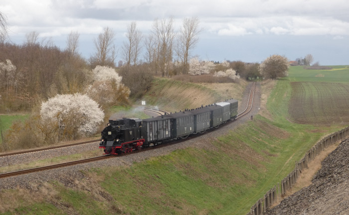 Lok&nbsp;11&nbsp; mit Infozug zurück &rarr;Benndorf in der Senke der MBB-Strecke nahe der Niewandtschachthalde, fotografiert von weiter oben auf der Halde stehend, um 13:07h am 01.04.2023