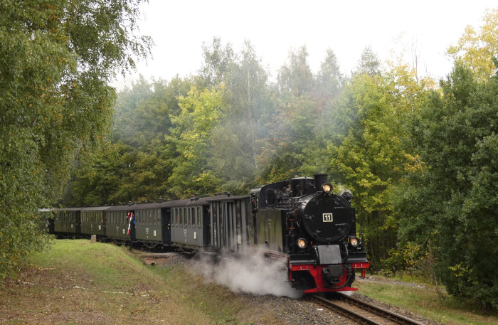 Lok&nbsp;11&nbsp; mit langem Infozug zurück nach Benndorf, im kleinen Wald (Lindenholz) direkt auf dem Wanderweg-Bü hinter Ausfahrt Kupferkammerhütte, um 13:12h am 07.10.2023