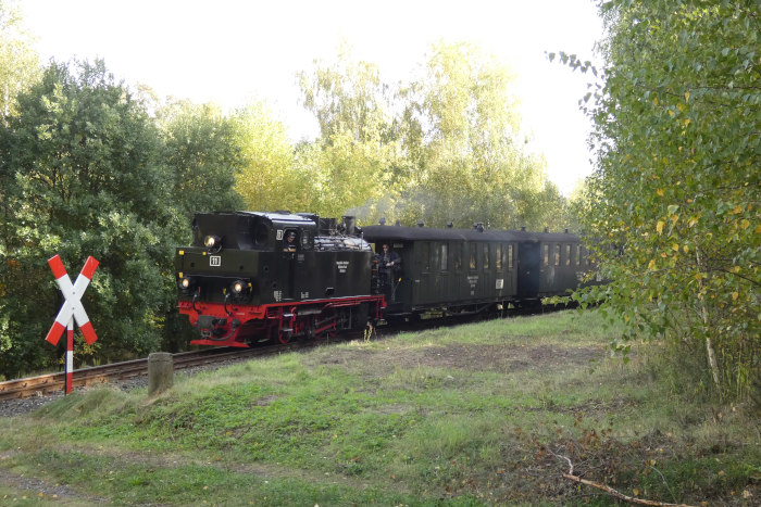 Lok&nbsp;11&nbsp;Tv mit Regelzug von Benndorf kommend, im Lindenholz oberhalb von Hettstedt-Kupferkammerhütte, um 15:21h am 07.10.2023
