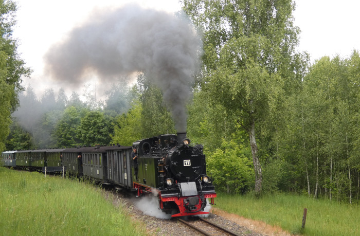 Lok&nbsp;11&nbsp; mit Infozug zurück Richtung Benndorf, schon fast dramatisch laut (und schnell!) in dem kleinen Wald hinter der Ausfahrt Kupferkammerhütte, um 13:25h am 29.05.2025