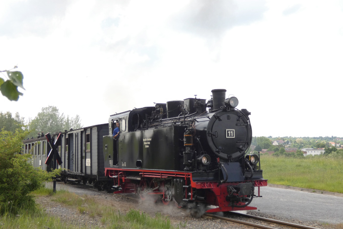 Lok&nbsp;11&nbsp; mit Sonderzug &bdquo;Teddybärzug&ldquo; zurück &rarr;Benndorf, wieder an der Ausfahrt von Kupferkammerhütte, um 15:44h am 31.05.2025