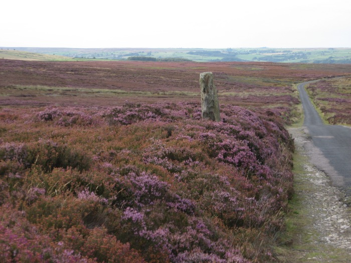 Heide-Hochflächen-Landstraße zwischen Esk&nbsp;Valley und Cropton Forest