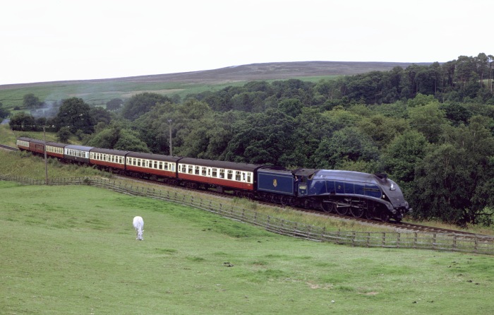60007 hinter Goathland vor Moorgates, 05.08.2000