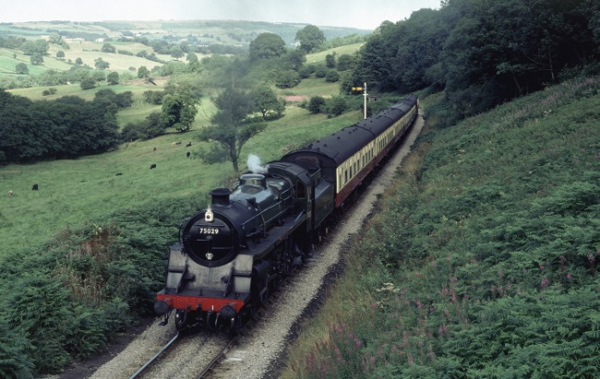 75029 Green Knight near Green&nbsp;End