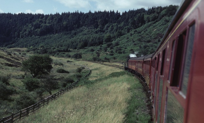 View from train near Moorgates into Newton Dale