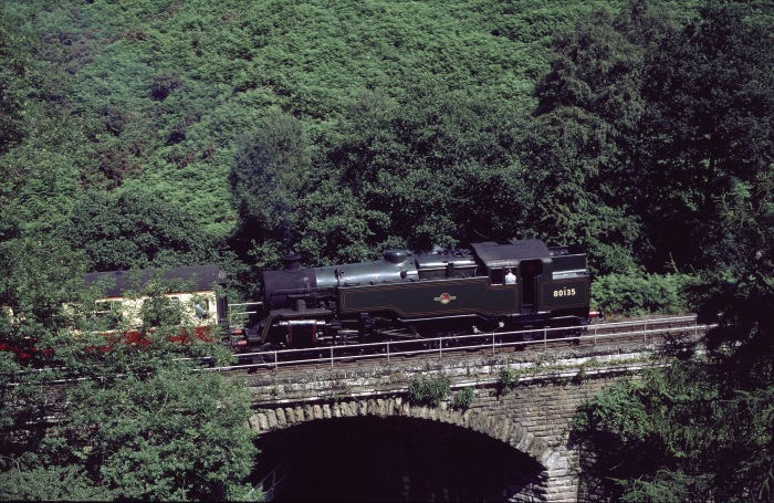 80135&nbsp;Tv bei Water&nbsp;Ark auf dem zweiten Steinbogenviadukt, 29.07.2001