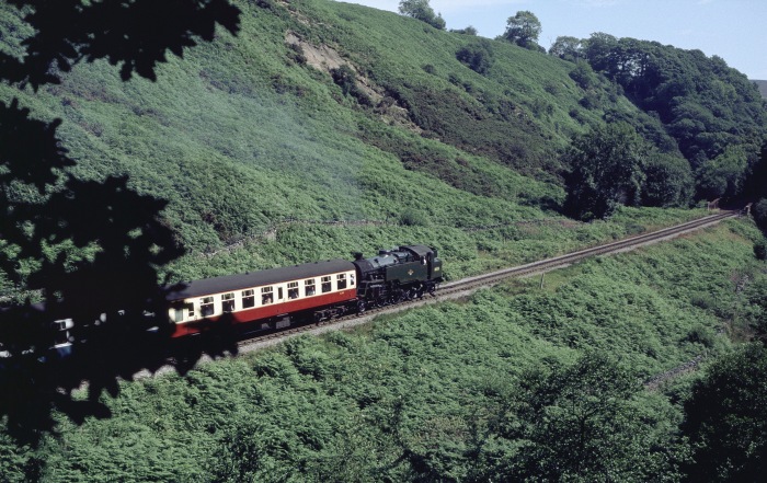 80135&nbsp;Tv bei Water&nbsp;Ark hinter dem zweiten Steinbogenviadukt, 29.07.2001