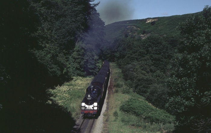 75014 im Eller&nbsp;Beck-Tal vor Darnholm, 30.07.2001