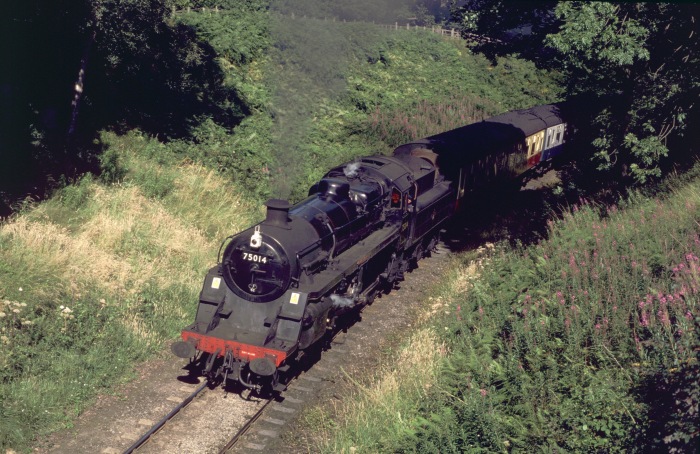 75024 direkt vor der Straßenbrücke im Einschnitt bei Beck&nbsp;Hole, 30.07.2001