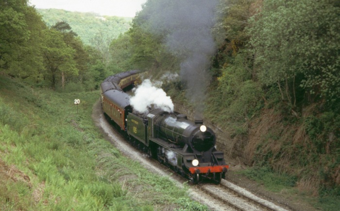 825 im Einschnitt bei Beck&nbsp;Hole, 15.05.2004