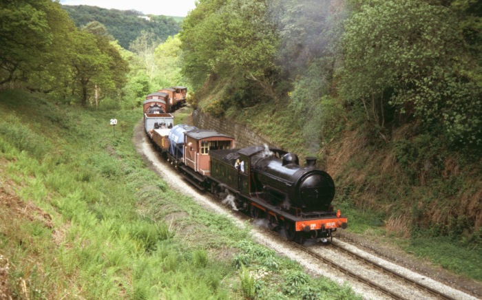 2392 mit show-Güterzug bei Beck&nbsp;Hole, 15.05.2004