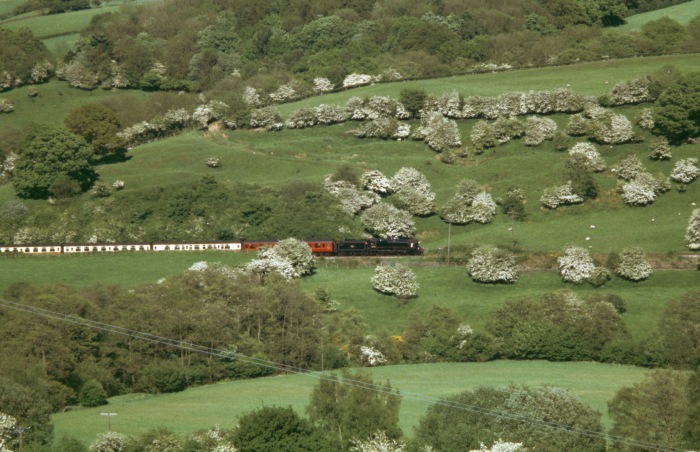 45212 am Hang unterhalb von Green&nbsp;End um 16:55h am 18.05.2004