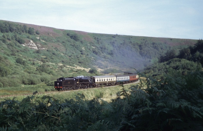 45212&nbsp;Tv bei Carters&nbsp;House im Newton&nbsp;Dale, 30.08.2005