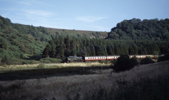 80135&nbsp;Tv mit Zug ->Grosmont, im Tal Newton&nbsp;Dale, 30.08.2005