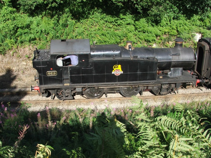 6619 rollt Tv mit Zug aus Pickering zurück kommmend bei Beck&nbsp;Hole abwärts rollend um 17:14h am 24.08.2005