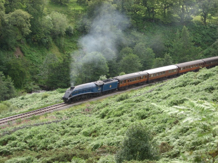60007 mit dem schicken, nunmehr seit einigen Jahren fast kompletten, alten LNER- Teakholz-Zug ebenfalls bei Water&nbsp;Ark, um 15:42h am 15.08.2008
