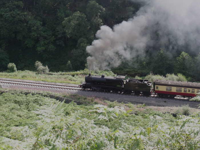 53809 bei Water&nbsp;Ark, um 13:55h am 31.08.2010