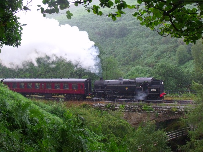 80136&nbsp;Tv bei Water&nbsp;Ark im strömenden Regen, um 11:41h am 31.07.2019