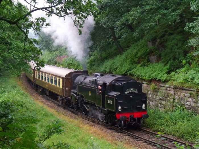 80136&nbsp;Tv mit Moorlander Pullman-Salonwagen-Zug bei Beck&nbsp;Hole, um 12:41h am 01.08.2019