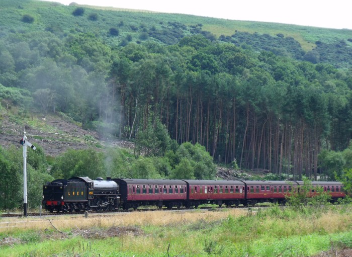 1264&nbsp;Tv mit Zug von Pickering nach Whitby, nördlich der Ausfahrt von Levisham, um 12:14h am 04.08.2019