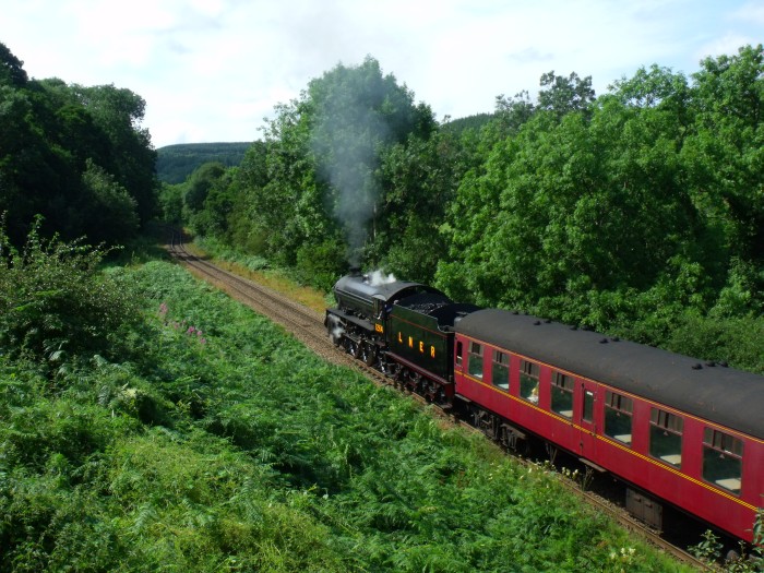 1264 an der 2.Feldwegbrücke bei Green&nbsp;End, um 11:36h am 05.08.2019