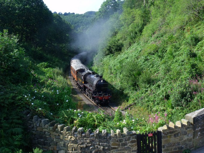 1264 (Thompson B1) mit dem LNER-Teakholzwagen-Zug Richtung Pickering in der Kurve im Einschnitt vor der Straßenbrücke bei Beck&nbsp;Hole, um 16:39h am 05.08.2019