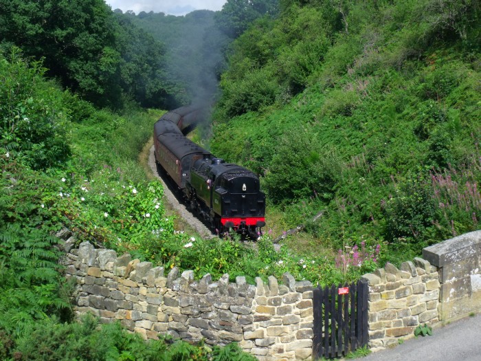 80136&nbsp;Tv direkt vor der Straßenbrücke bei Beck&nbsp;Hole, um 11:40h am 06.08.2019