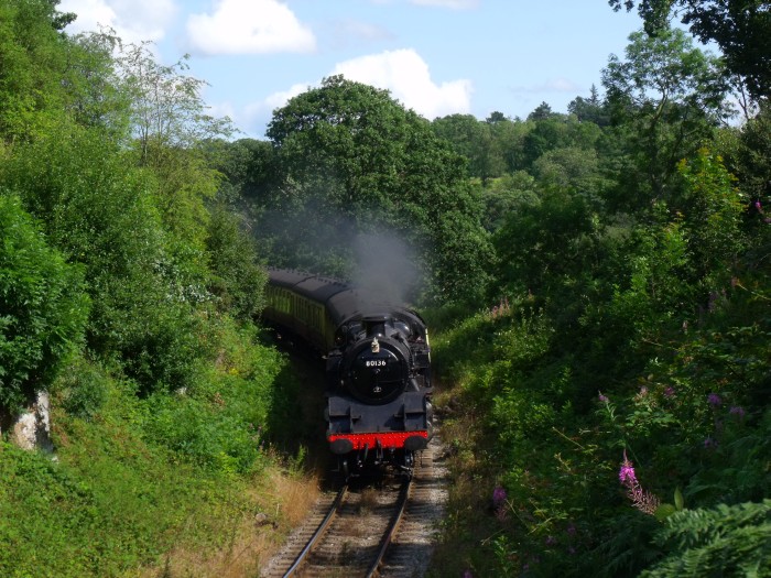 80136 vorwärts und abwärts fahrend Richtung Grosmont im Einschnitt oberhalb der Straßenbrücke bei Beck&nbsp;Hole, um 16:00h am 07.08.2019