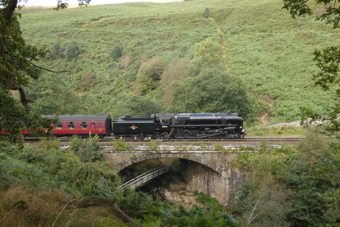 92134 mit Zug Whitby&rarr;Pickering bei Thomason Foss /Water Ark, um 14:56h am 29.08.2024