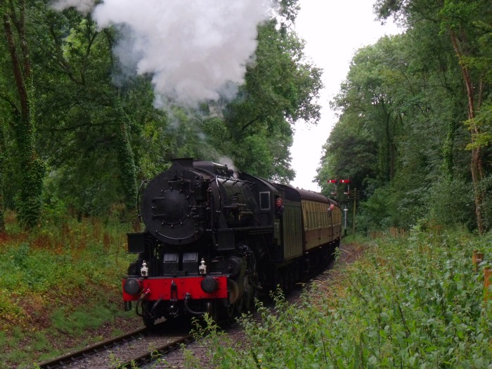 6046 mit Zug nach Mi&zwj;n&zwj;ehead im kleinen Wald hinter der Ausfahrt von Bishops&nbsp;Lydeard, um 12:17h am 29.07.2018